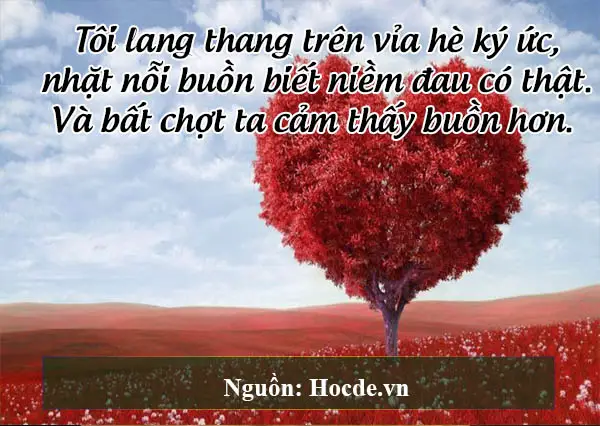 cap hay về tình yêu