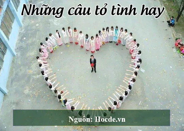 những câu tỏ tình hay