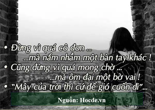 những câu nói hay trong tình yêu
