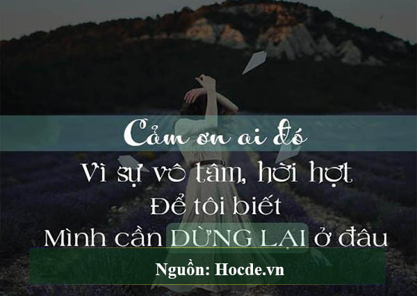 stt hay ngắn về tình yêu