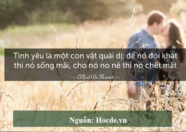 stt hay về tình yêu