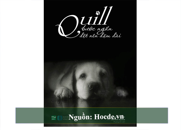 Quill – Bước Ngắn Dệt Nên Dặm Dài