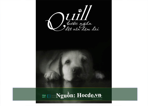 Quill – Bước Ngắn Dệt Nên Dặm Dài Quill – Bước Ngắn Dệt Nên Dặm Dài