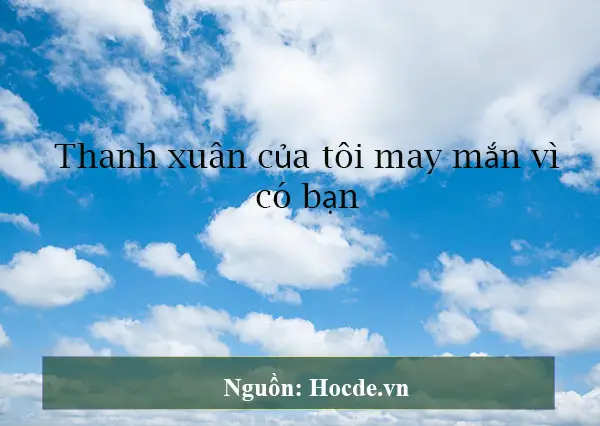 stt hay về tình bạn 