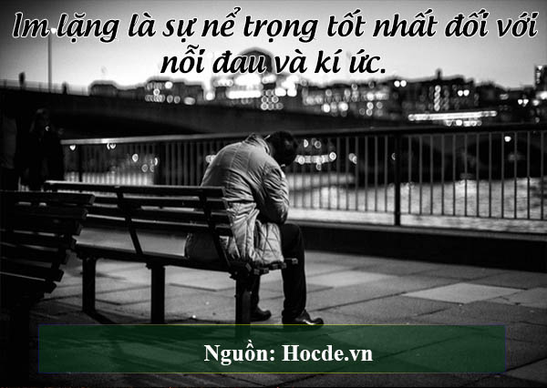 im lặng là sự nể trọng tốt nhất đối với nỗi đau và kí ức.