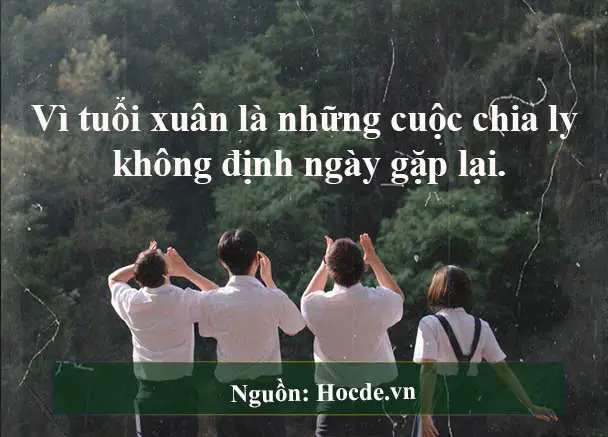 cap hay về thanh xuân