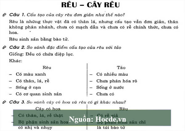 So sánh đặc điểm cấu tạo của rêu với tảo