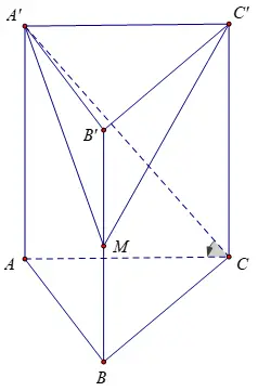 Hình bài tập lăng trụ tam giác đều..