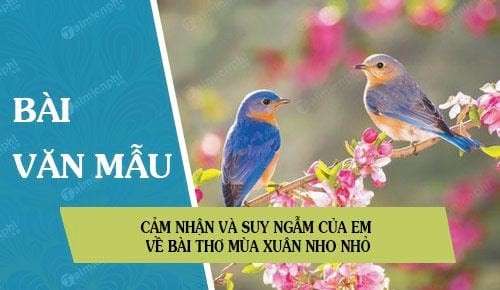 cam-nhan-ve-bai-tho-mua-xuan-nho-nho-van-mau-lop-9-1