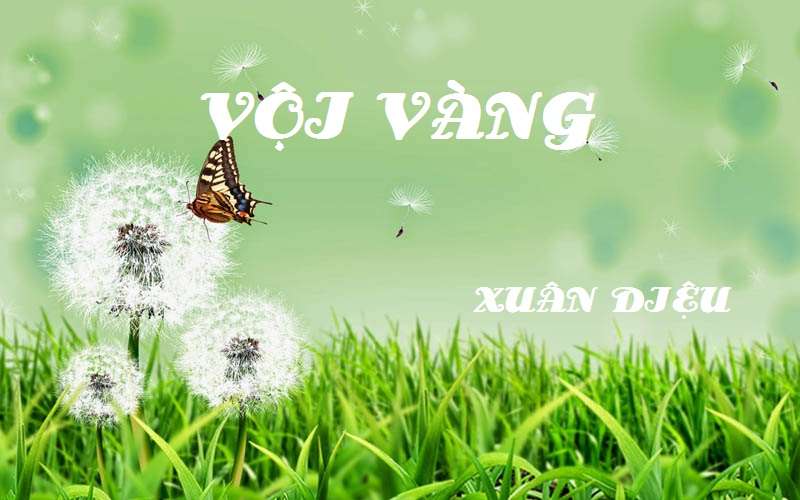 phan-tich-13-cau-dau-cua-bai-tho-voi-vang-van-mau-lop-11-1