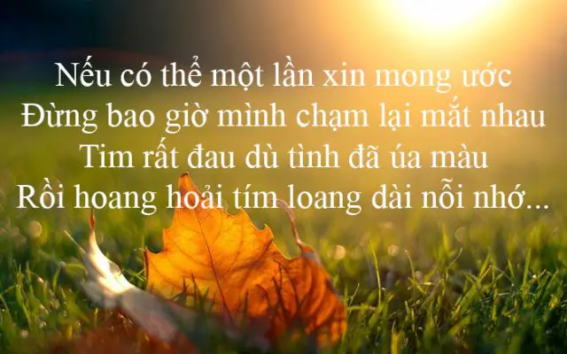 chum-tho-tinh-buon-te-tai-roi-nuoc-mat-1