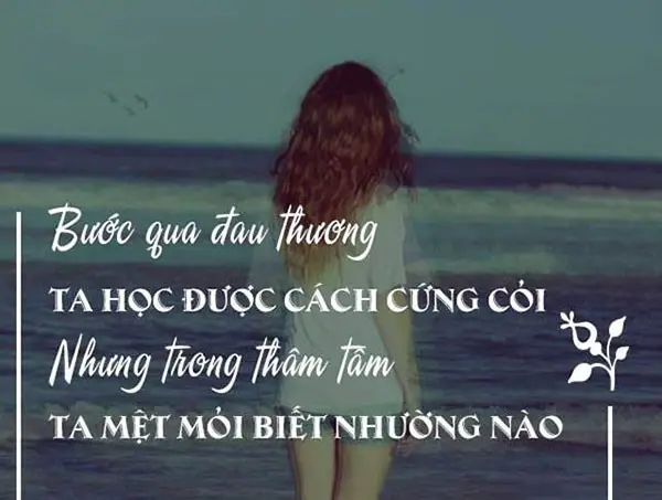 chum-stt-tam-trang-buon-roi-nuoc-mat-ai-cung-nen-doc-1